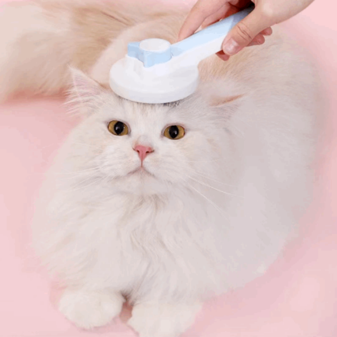 🐱 Peine Mágico para Mascotas | Elimina Nudos y Deja un Pelaje Impecable